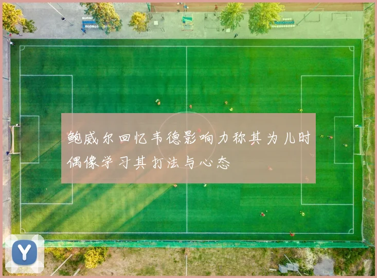 鲍威尔回忆韦德影响力称其为儿时偶像学习其打法与心态