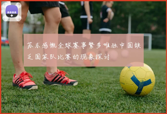 苏东感慨全球赛事繁多唯独中国缺乏国家队比赛的现象探讨